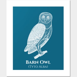 Barn Owl with Common and Scientific Names - bird lovers design Posters and Art